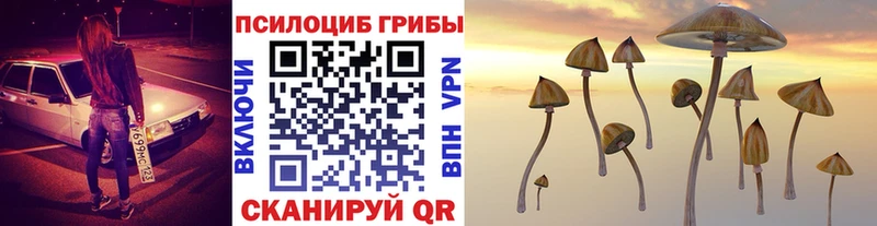 Галлюциногенные грибы MAGIC MUSHROOMS  Купить закладки  Ковылкино 