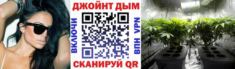 Купить  Ковылкино  МАРИХУАНА тримм 